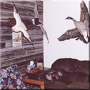 Manitoba Waterfowl Hunting