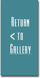 Waterfowl Hunting Gallery