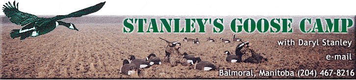 Stanley's Goose Camp